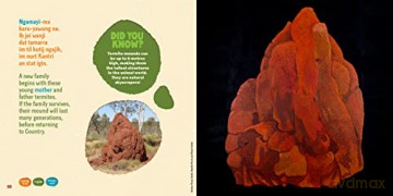 Tamarra - V Et Al Wadrill [KSIĄŻKA]
