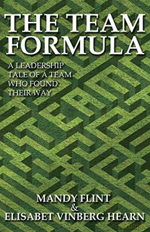 Team Formula - Mandy Flint [KSIĄŻKA]