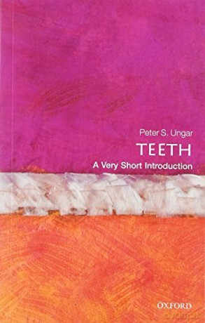 Teeth A Very Short Introduction - Peter S Ungar [KSIĄŻKA]