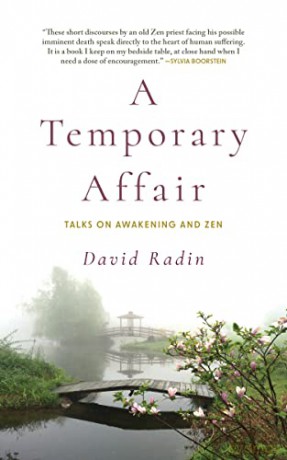 Temporary Affair - David Radin [KSIĄŻKA]