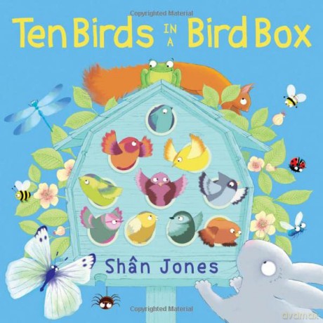 Ten Birds In A Bird Box - Sh N Jones [KSIĄŻKA]