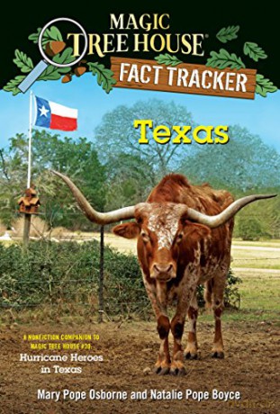 Texas - Natalie Pope Boyce [KSIĄŻKA]