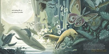 Thank You Moon - Melissa Stewart [KSIĄŻKA]