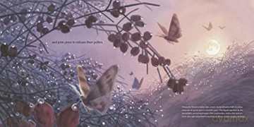 Thank You Moon - Melissa Stewart [KSIĄŻKA]