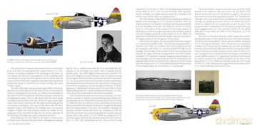 The 406th Fighter Group - Steven A Brandt [KSIĄŻKA]