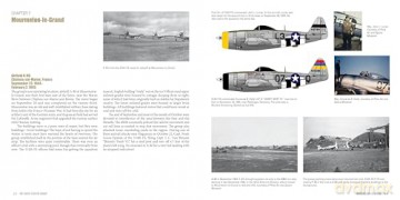 The 406th Fighter Group - Steven A Brandt [KSIĄŻKA]