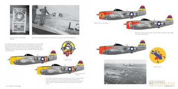 The 406th Fighter Group - Steven A Brandt [KSIĄŻKA]