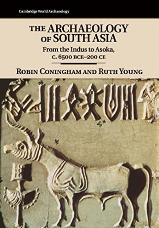 The Archaeology Of South Asia - Coningham Robin [KSIĄŻKA]