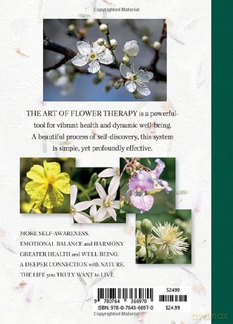 The Art Of Flower Therapy - Dina Saalisi [KSIĄŻKA]