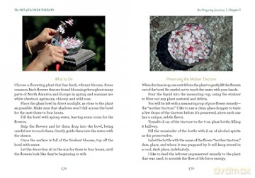 The Art Of Flower Therapy - Dina Saalisi [KSIĄŻKA]