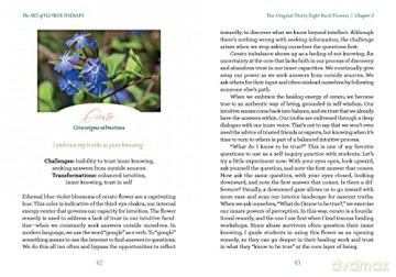 The Art Of Flower Therapy - Dina Saalisi [KSIĄŻKA]