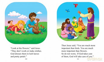 The Beginners Bible - The Beginner's Bible [KSIĄŻKA]