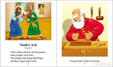 The Beginners Bible - The Beginner's Bible [KSIĄŻKA]