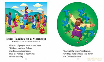 The Beginners Bible - The Beginner's Bible [KSIĄŻKA]