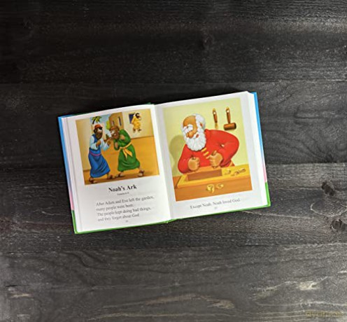 The Beginners Bible - The Beginner's Bible [KSIĄŻKA]