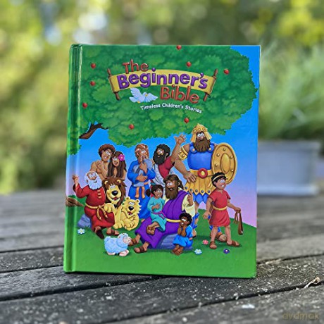 The Beginners Bible - The Beginner's Bible [KSIĄŻKA]