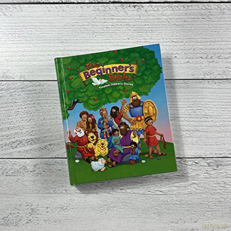 The Beginners Bible - The Beginner's Bible [KSIĄŻKA]