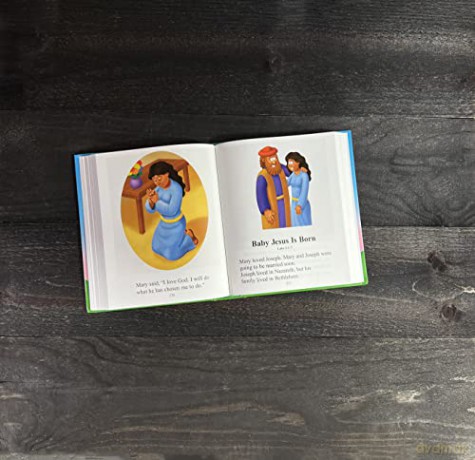 The Beginners Bible - The Beginner's Bible [KSIĄŻKA]