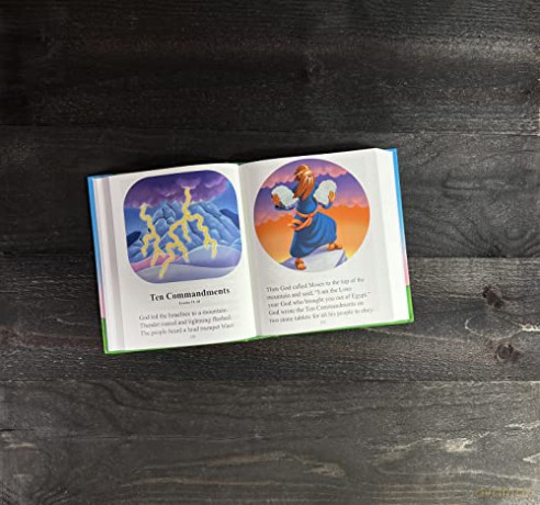 The Beginners Bible - The Beginner's Bible [KSIĄŻKA]