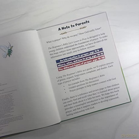 The Beginners Bible Lets Learn To Pra - The Beginner's Bible [KSIĄŻKA]
