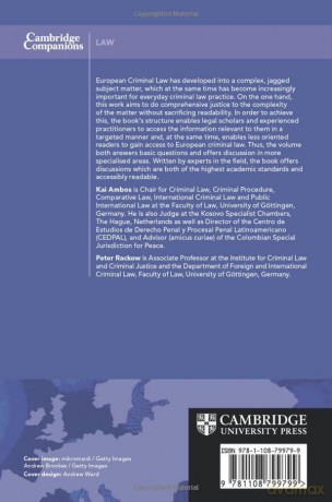 The Cambridge Companion To European Cri - Edited By Kai Ambos [KSIĄŻKA]