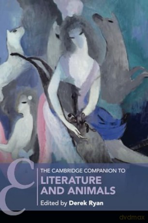 The Cambridge Companion To Literature A - Edited By Derek Ryan [KSIĄŻKA]