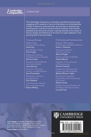 The Cambridge Companion To Literature A - Edited By Derek Ryan [KSIĄŻKA]