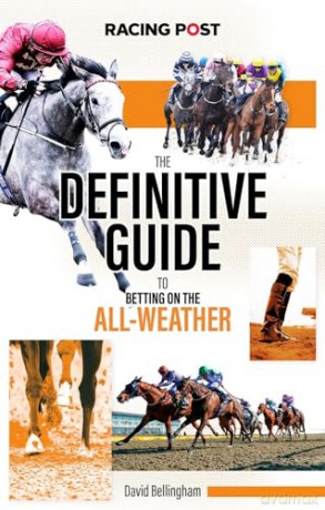 The Definitive Guide To Betting On - Bellingham David [KSIĄŻKA]