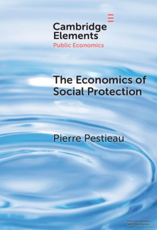 The Economics Of Social Protection - Pestieau Pierre [KSIĄŻKA]