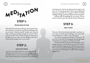 The Elements Of Becoming A Successful A - Emily Klintworth [KSIĄŻKA]