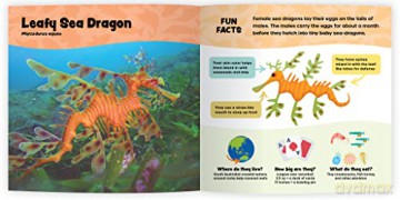 The Fantastic World Of Fish - Melanie Stiassny [KSIĄŻKA]
