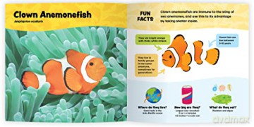 The Fantastic World Of Fish - Melanie Stiassny [KSIĄŻKA]
