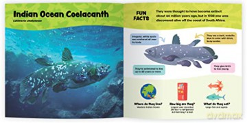 The Fantastic World Of Fish - Melanie Stiassny [KSIĄŻKA]