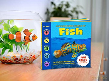 The Fantastic World Of Fish - Melanie Stiassny [KSIĄŻKA]