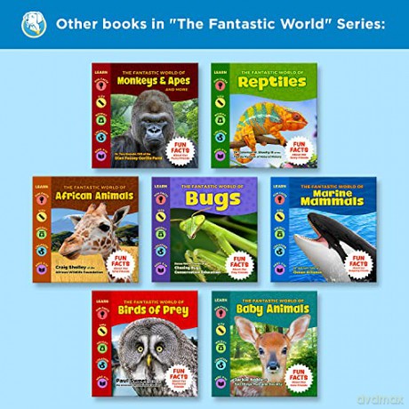 The Fantastic World Of Fish - Melanie Stiassny [KSIĄŻKA]