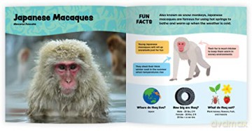 The Fantastic World Of Monkeys Apes An - Tara Stoinski [KSIĄŻKA]