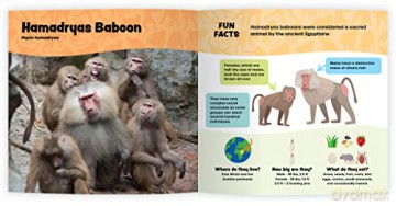 The Fantastic World Of Monkeys Apes An - Tara Stoinski [KSIĄŻKA]