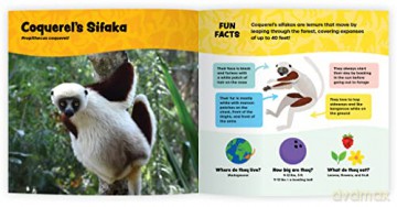 The Fantastic World Of Monkeys Apes An - Tara Stoinski [KSIĄŻKA]
