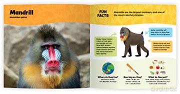 The Fantastic World Of Monkeys Apes An - Tara Stoinski [KSIĄŻKA]