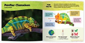 The Fantastic World Of Reptiles - Coleman Sheehy [KSIĄŻKA]