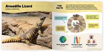 The Fantastic World Of Reptiles - Coleman Sheehy [KSIĄŻKA]