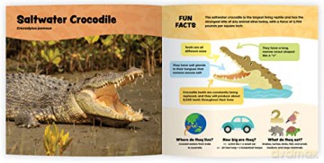 The Fantastic World Of Reptiles - Coleman Sheehy [KSIĄŻKA]