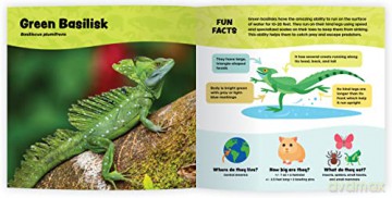 The Fantastic World Of Reptiles - Coleman Sheehy [KSIĄŻKA]