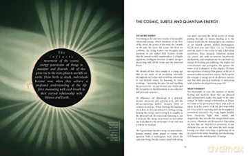 The Golden Chamber Of Qi - Nathalie Dubreu [KSIĄŻKA]