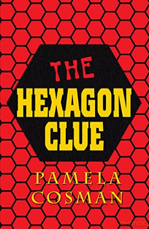 The Hexagon Code - Pamela Cosman [KSIĄŻKA]