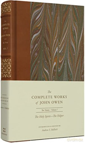 The Holy Spirit - Owen John [KSIĄŻKA]