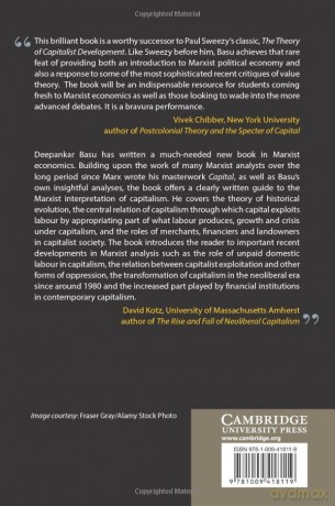 The Logic Of Capital - Basu Deepankar [KSIĄŻKA]