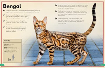 The Magnificent Book Of Cats [KSIĄŻKA]