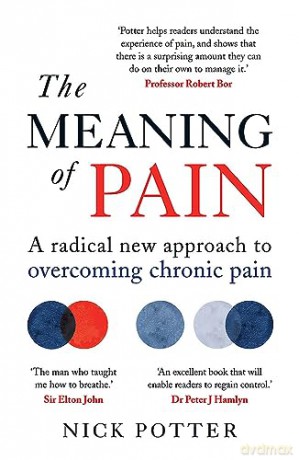 The Meaning Of Pain - Nick Potter [KSIĄŻKA]