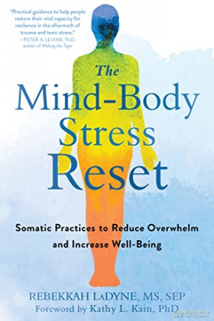 The Mind-Body Stress Reset - Rebekkah Ladyne [KSIĄŻKA]